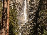 Yosemite 008 : America, American, California, Californian, National Park Service, USA, United States, Yosemite Falls, Yosemite National Park